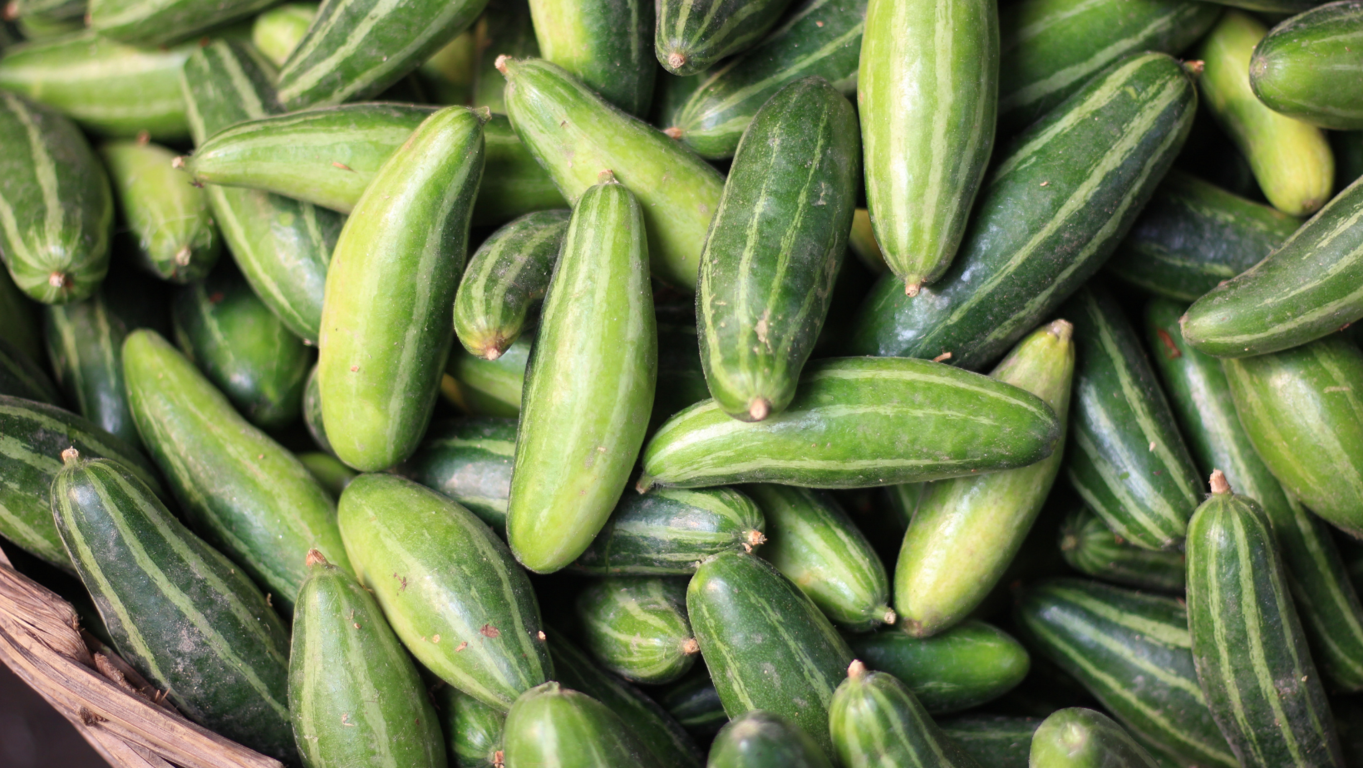 Bodegas refrigeradas en San Antonio Texas: la elecci�n inteligente para el almacenamiento de tus productos