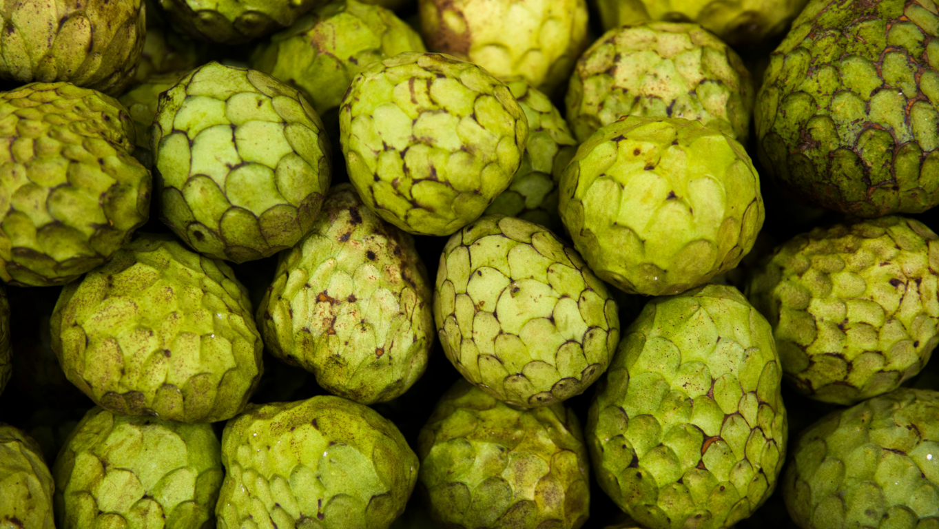 Descubre las oportunidades �nicas de tener tu propio lote en la Nueva Central de Abastos de San Antonio Texas