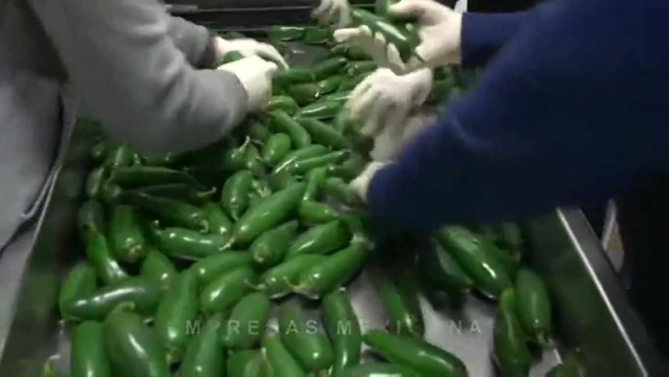 Bodegas refrigeradas en San Antonio Texas: la mejor opci�n para un almacenamiento seguro y eficiente