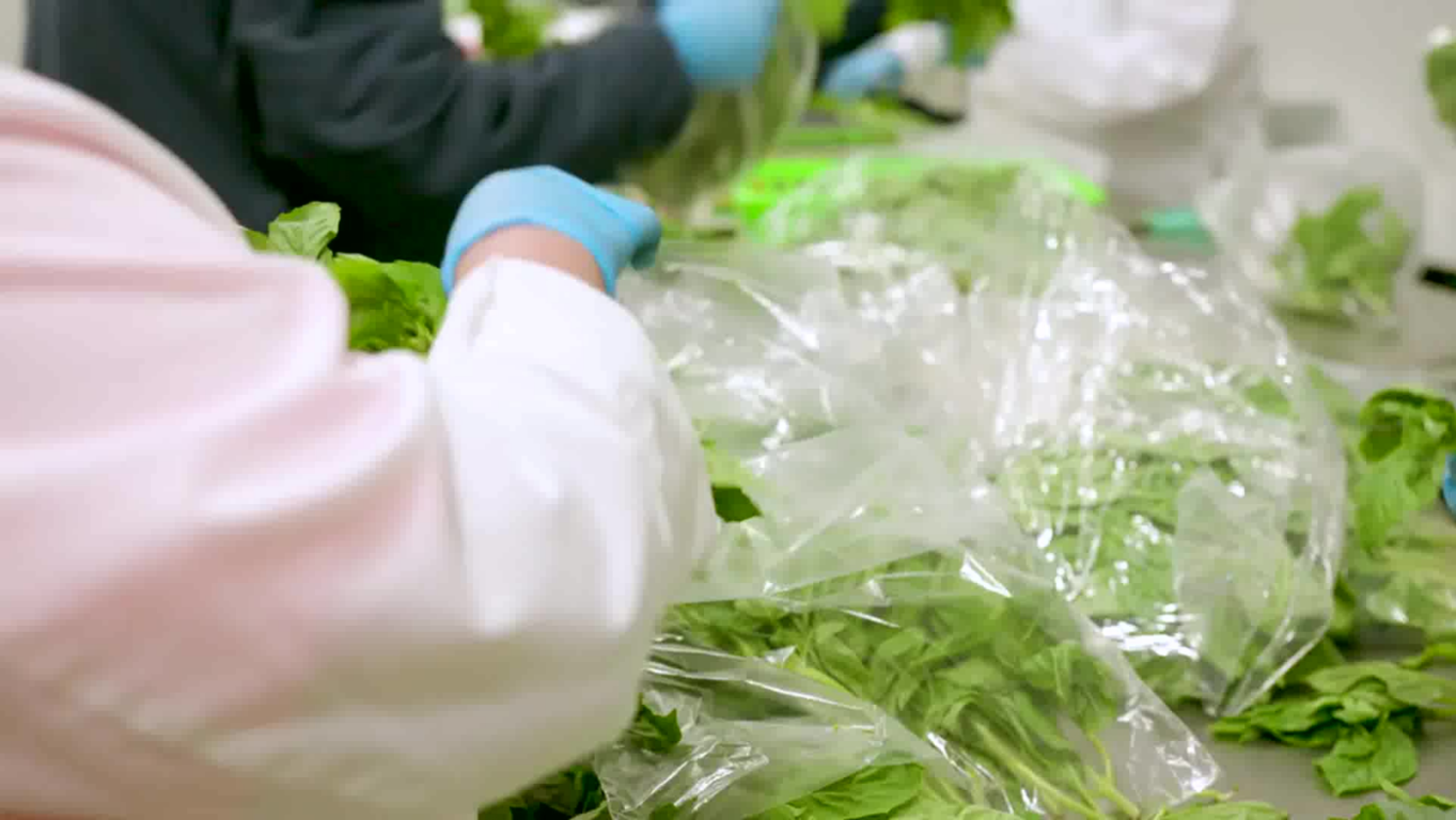 Alquila una bodega refrigerada y asegura la frescura en San Antonio Texas