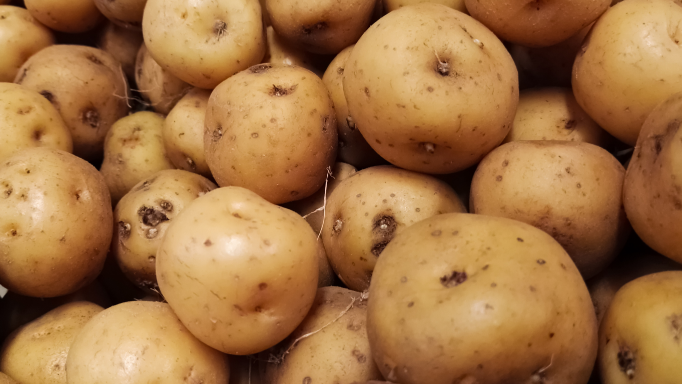 5 beneficios de rentar una bodega refrigerada en San Antonio Texas