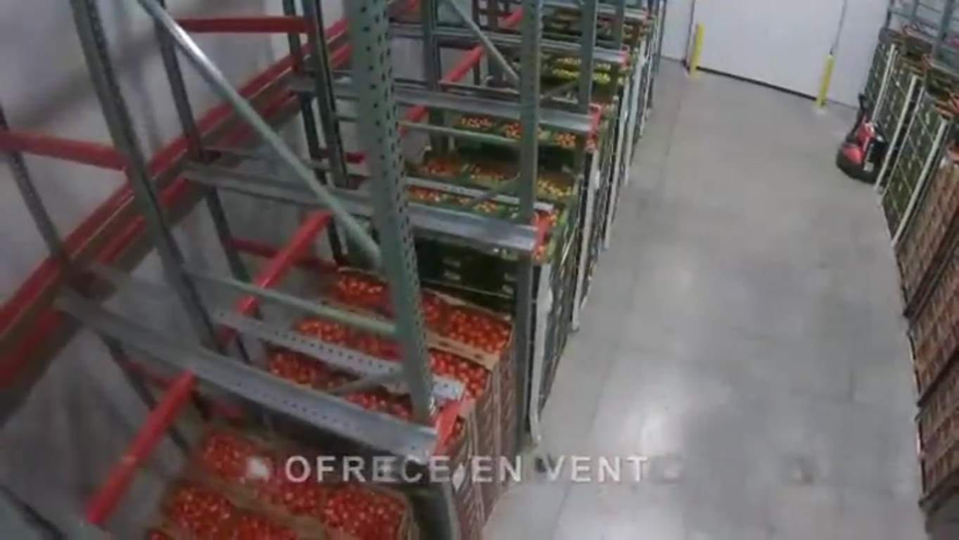 M�s que un mercado: Un espacio para el crecimiento y la prosperidad en la Nueva Central de Abastos de San Antonio Texas