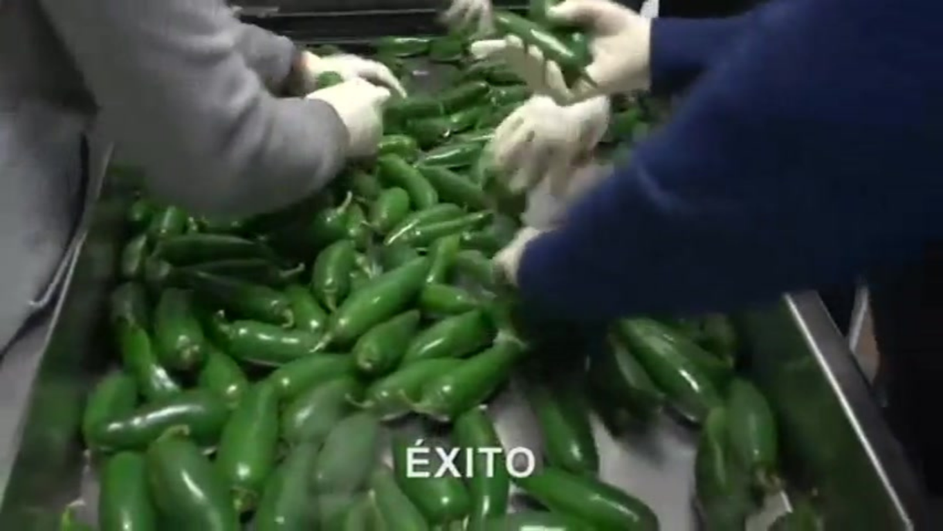 Alquilando una bodega refrigerada en la Nueva Central de Abastos de San Antonio Texas: �Qu� est�s esperando?
