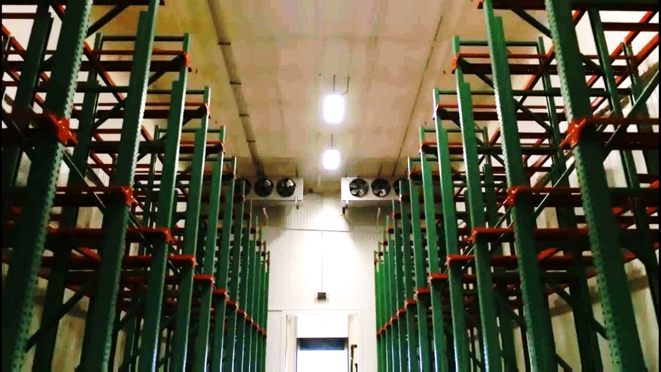 �Por qu� elegir una bodega refrigerada en la Nueva Central de Abastos de San Antonio Texas?